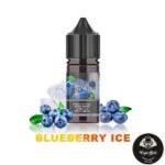BLUEBERRY ICE BY ISGO SALTNIC 30ML