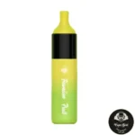 FUMMYVAPE EVO 4500 PUFFS DISPOSABLE - Image 24