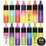 FUMMYVAPE EVO 4500 PUFFS DISPOSABLE