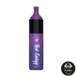 FUMMYVAPE EVO 4500 PUFFS DISPOSABLE - Image 20