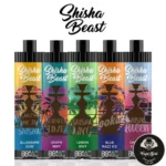 R&M SHISHA BEAST 20000 PUFFS DISPOSABLE