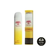 RIPE VAPES PALM DISPOSABLE 3000 PUFFS - Image 9