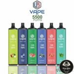 US DISPOSABLE VAPE 5500PUFFS