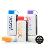 VOZOL STAR 12000 PUFFS DISPOSABLE