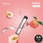YUOTO XXL IN DUBAI DISPOSABLE VAPE 2500 PUFFS - Image 10