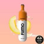 FUMMO TARGET 3000 PUFFS DISPOSABLE VAPE - Image 3