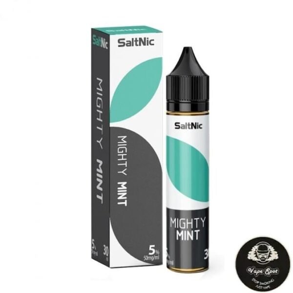 MIGHTY MINT - VGOD SALTNIC - 30ML